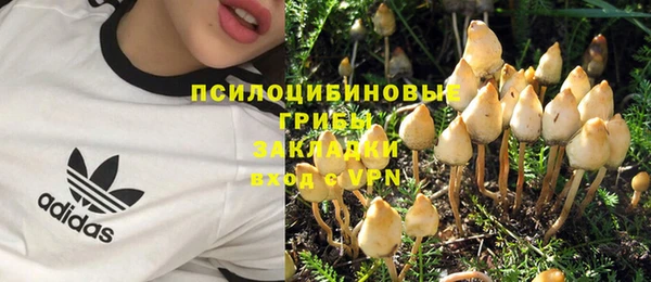 каннабис Кущёвская