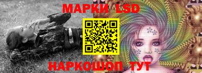 СК Краснодар