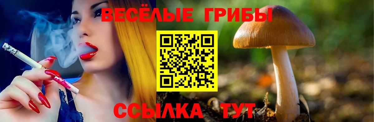 Галлюциногенные грибы прущие грибы Новый Уренгой